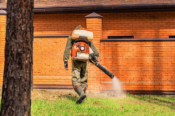 Bed Bug Clearance Verification and Documentation in Meraux